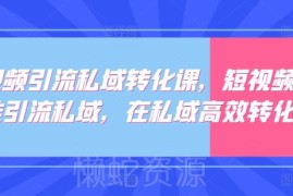 短视频引流私域转化实战课 从获客到运营全流程教学