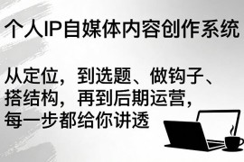 个人IP自媒体创作全流程教程 定位选题运营各步骤精讲