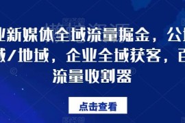 企业公域私域地域三域协同获客 全域流量运营实操教程