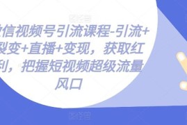 微信视频号运营全流程教程 涵盖引流裂变直播变现实操方法
