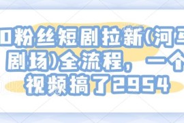零粉丝河马剧场短剧拉新实操全流程 单视频变现2954方法分享