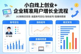 小白短视频创业企业用户增长全流程 从0到稳定变现实操课