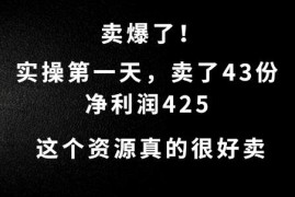 高需求虚拟资源变现项目 新手实操首日盈利425元玩法拆解