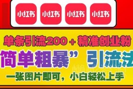 2024年底小红书全新实用引流玩法 单条笔记获200+精准创业粉