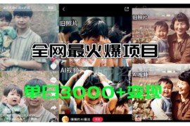AI老照片动起来制作教程 免费工具及多渠道变现玩法详解