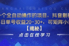 全自动抖音刷视频赚钱项目解析 单号日入20-30小白可操作可矩阵