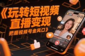视频号短视频直播运营变现教程 零基础从0到1实操全攻略