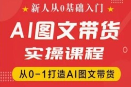 新人0基础抖音AI图文带货实操课 从0到1全流程运营教学