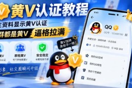 最新QQ黄V认证实操教程 个人主页及名下群聊均可点亮黄V