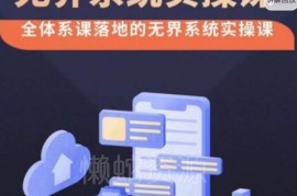老衲无界系统实操课 改版后付费引流出价高投产玩法全解析