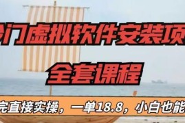 冷门ins安装虚拟项目拆解 小白易上手单客收益10至30元