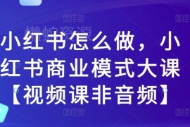 2024小红书运营实操教程 商业变现模式系统视频大课