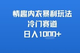 成人用品赛道情趣内衣盈利玩法 冷门高利润副业实操参考