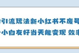 最新合规男粉引流玩法 操作友好不封号做得好可当日变现