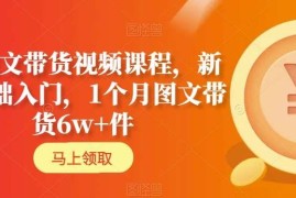 AI图文带货新人入门课程 含月销6万+全流程实操技巧