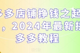 2024年拼多多开店从注册到起店全流程实操运营教程