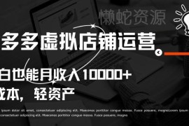 拼多多虚拟店铺运营教程 新手小白也可实现稳定月入过万