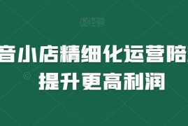 抖音小店精细化运营实操教程 全链路操作指导提升店铺利润