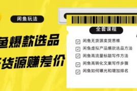 闲鱼无货源赚差价进阶教程 选品引流变现全套实操11节课