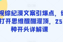 影视综纪漫爆款文案打造教程 255种实用开头写法详解课程