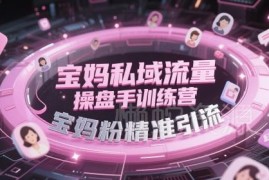 宝妈私域流量操盘手训练营 宝妈粉精准引流全流程实操课程