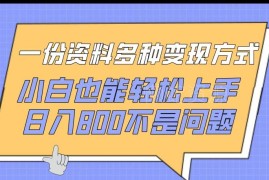 虚拟资料多渠道变现方式拆解 小白低门槛上手实操全攻略
