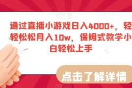 直播小游戏变现项目保姆级教程 零基础小白也可上手获高收益