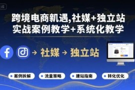 跨境电商社媒+独立站运营全流程教程 含实战案例与系统化教学
