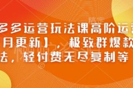 2025年2月更新拼多多高阶运营课 群爆款轻付费玩法实操教程