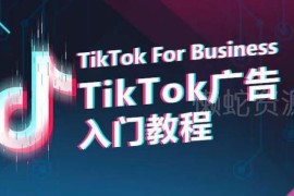 TikTok广告投放从0到1入门教程 全流程实操技巧详解