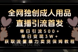 成人用品真人及无人直播卖货 0基础可上手的变现实操教程