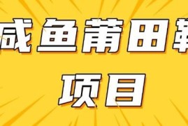 2025闲鱼高转化莆田鞋项目实操教程 附稳定货源获取渠道