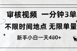 10秒一单的视频审核副业介绍 不限单量新手可做的低门槛兼职