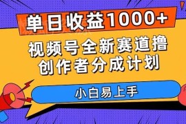 视频号创作者分成计划实操指南 新手易上手的低门槛变现项目
