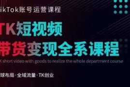 TikTok运营线上训练营教程 涨粉引流带货变现玩法全解析