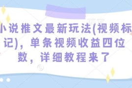 2025小说推文视频标记新玩法教程 单条视频收益可达四位数