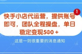 快手小店代运营3.0新模式解析 无需出镜零门槛合作五五分成稳获佣