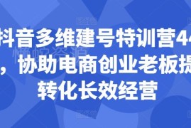 抖音多维建号特训营44期 电商创业老板提升转化经营实操教程