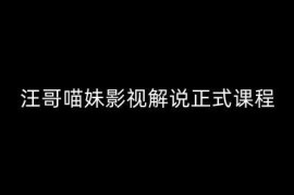 汪哥影视解说正式课程 剪映PR剪辑全流程技巧实操教学