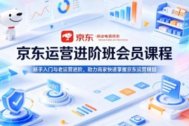 京东运营入门到进阶系统课程 商家实操盈利技巧全解析