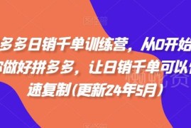 2025年11月更新 拼多多零基础到日销千单运营实操课程
