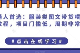 2023普通人可做的服装类图文带货实操教程 门槛低周期长