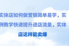 实体店营销落地实操教程 实例教学快速提升进店客流业绩