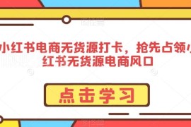 小红书无货源电商运营实操课 从入驻选品到爆单全流程教学