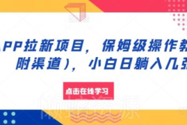 2024APP拉新项目保姆级操作教程 附正规渠道小白零成本可做
