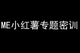 小红书电商专题密训教程 起号爆款导流运营实操干货汇总