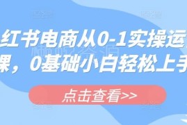 小红书电商0基础从0到1实操教程 小白开店运营全流程指南