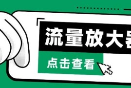 抖音公私域变现全流程玩法 Soul私域引流实操技巧指南