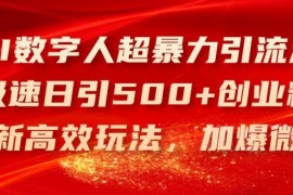 AI数字人引流创业粉高效玩法 每日2小时批量获客实操教程