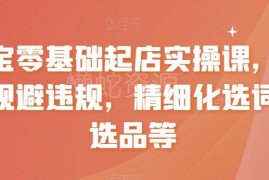 淘宝零基础起店实操课 违规规避选词选品全流程运营教学